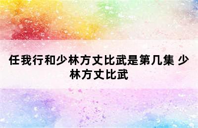 任我行和少林方丈比武是第几集 少林方丈比武